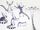 Winged lemur