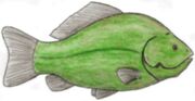 Algae carp (SciiFii)