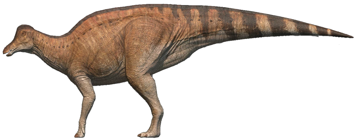 Jaxartosaurus SciiFii Wiki Fandom