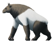 Ailurotherium (SciiFii)