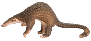 American pangolin (SciiFii)