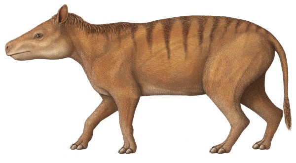 Merycoidodon SciiFii Wiki Fandom