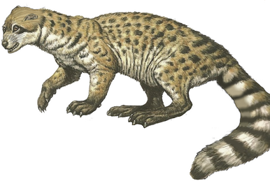 File:Forfexopterus Size Comparison.svg - Wikipedia