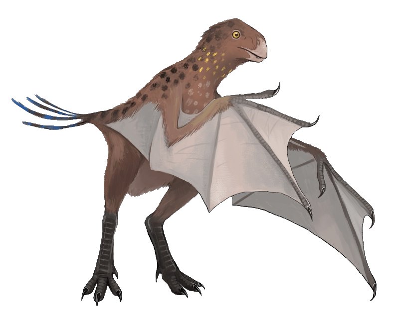 Wyvern | SciiFii Wiki | Fandom