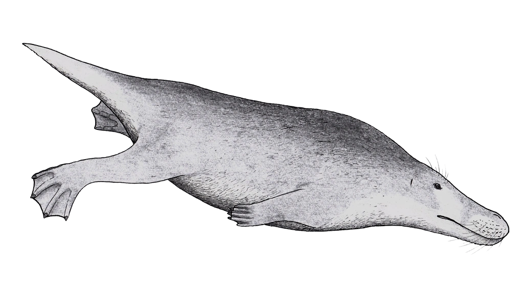 Artiocetus SciiFii Wiki Fandom