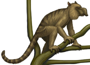 American proboscis lemur (SciiFii)