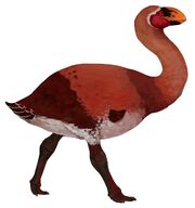 American giraffe bird (SciiFii)