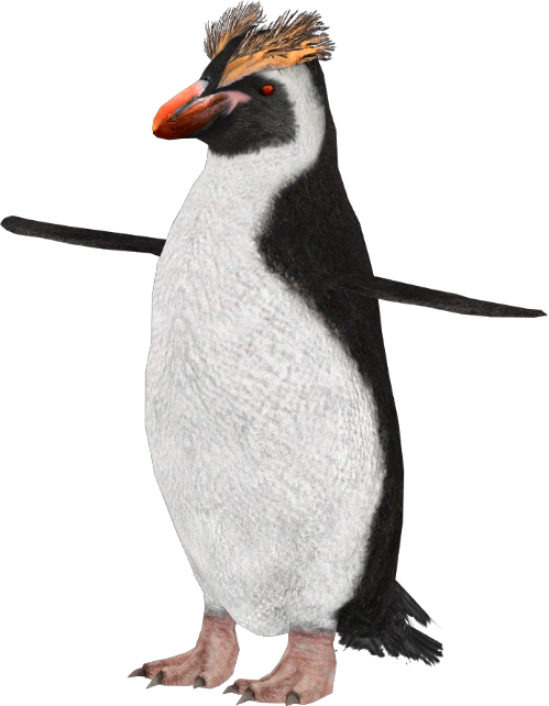 Horcons Crested Penguin Sciifii Wiki Fandom 5103