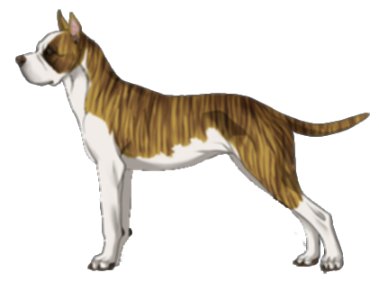 The original hotsell english bulldog