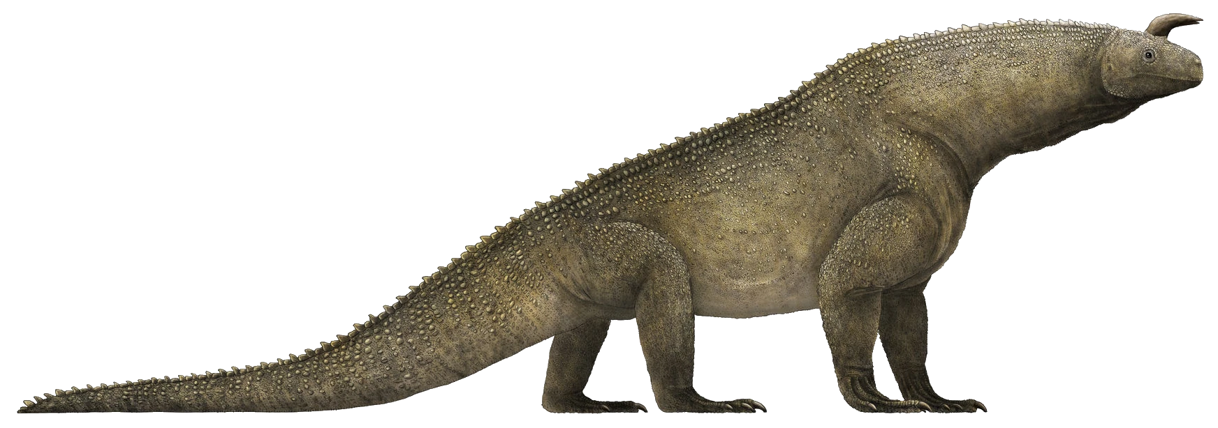Shringasaurus | SciiFii Wiki | Fandom