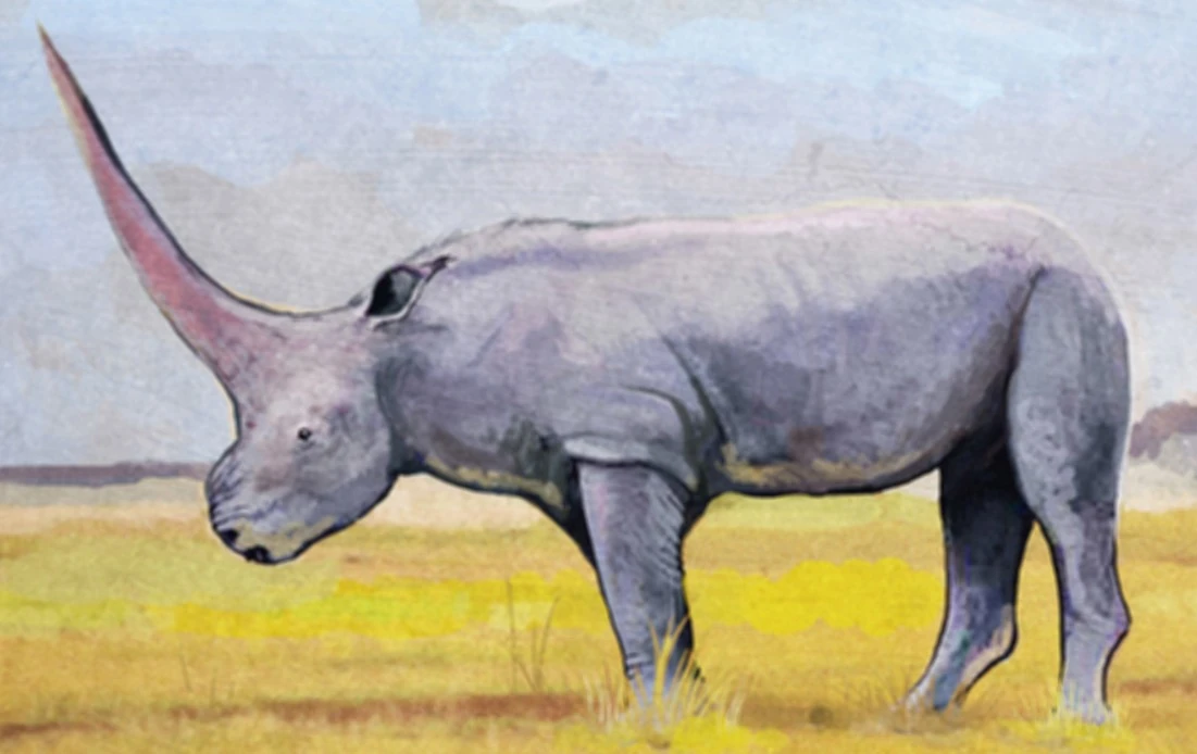 Emela-ntouka | SciiFii Wiki | Fandom