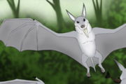 African silver bat (SciiFii) 2