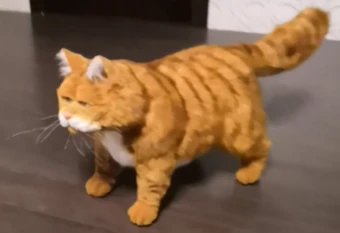What Breed of Cat is Garfield: Discover the Truth Behind the Iconic Feline