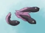 Gengar tadpoles, aka, gastlies/gastlys.