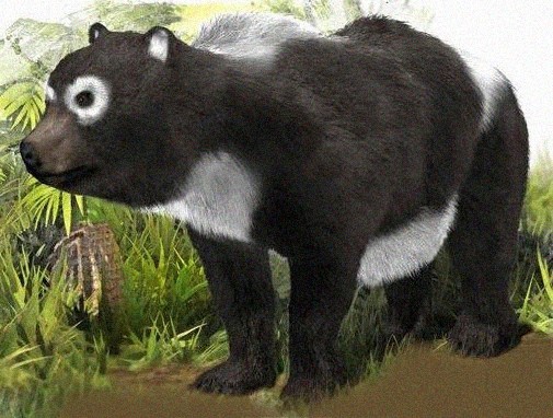 piebald bear