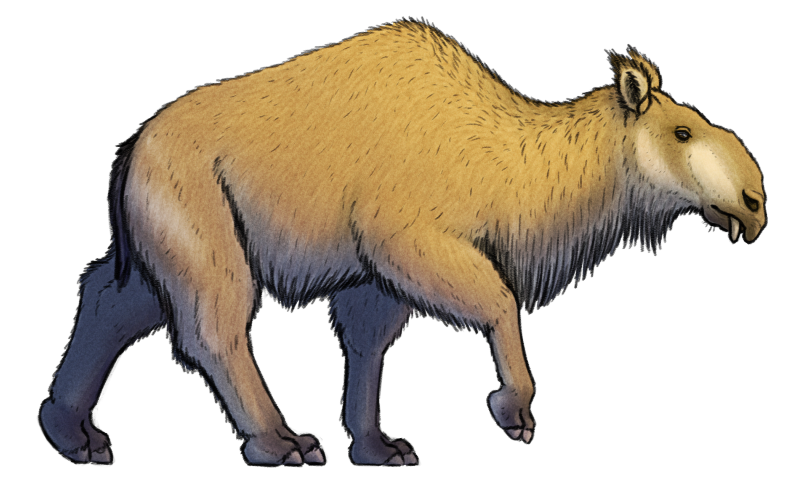Woolly paracerathere | SciiFii Wiki | Fandom