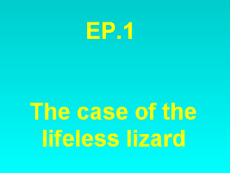 The Wrath Of The Lifeless Lizard