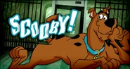 Scooby Doo