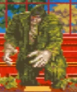 Jako kostium w grze Scooby-Doo 2: Potwory na gigancie wersja na Game Boy Advance