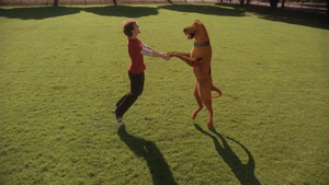 Scoob and Shag (live-action TV films)