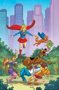 Textless front cover.