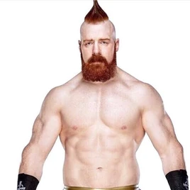 Sheamus (wrestler)