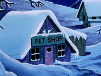 Winterhaven Pet Shop