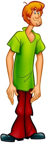 shaggy scooby doo costume