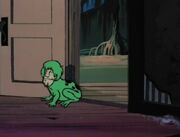 Shaggy after being changed into a frog by the witch.