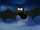Spider Bats