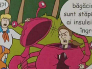 Frunzã unmasked