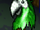 Parrot (Scooby-Doo! Classic Creep Capers)