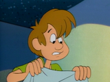 Shaggy Rogers (A Pup Named Scooby-Doo)