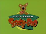 A Pup Named Scooby-Doo (theme song)