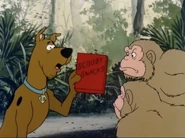 Scooby Snacks (The New Scooby and Scrappy Doo Show episode "Scooby of the Jungle")