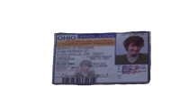 Shaggy's Driver's License.png