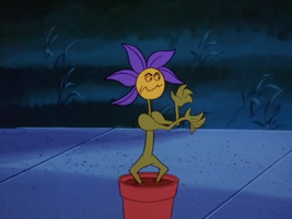 Shogun Philodendron