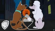 Be Cool, Scooby-Doo! Puppy Love