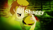 Shaggy's SDMI title card