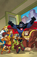 Textless front cover.