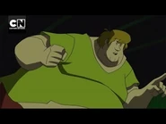 Sumo kudłaty.jpg (17 KB)