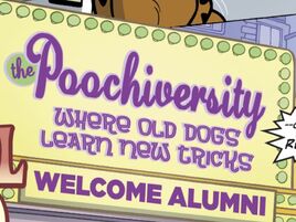 The Poochiversity