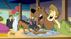 Dog biscuit