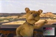 Wersja z filmu Scooby Doo