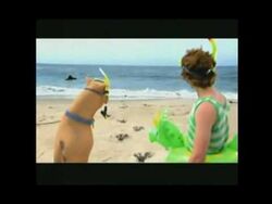 Watch scooby doo curse of the lake monster online free store