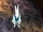 Rabbit (Scooby-Doo and the Cyber Chase)