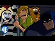 Scooby-Doo! & Batman- The Brave and the Bold - Food Fight in Arkham Asylum! - WB Kids
