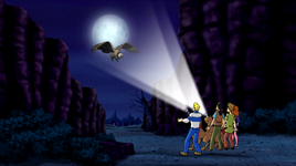Flashlights reveal the Wakumi