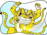 Two-headed tiger