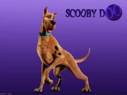 Materiał promocyjny – Scooby